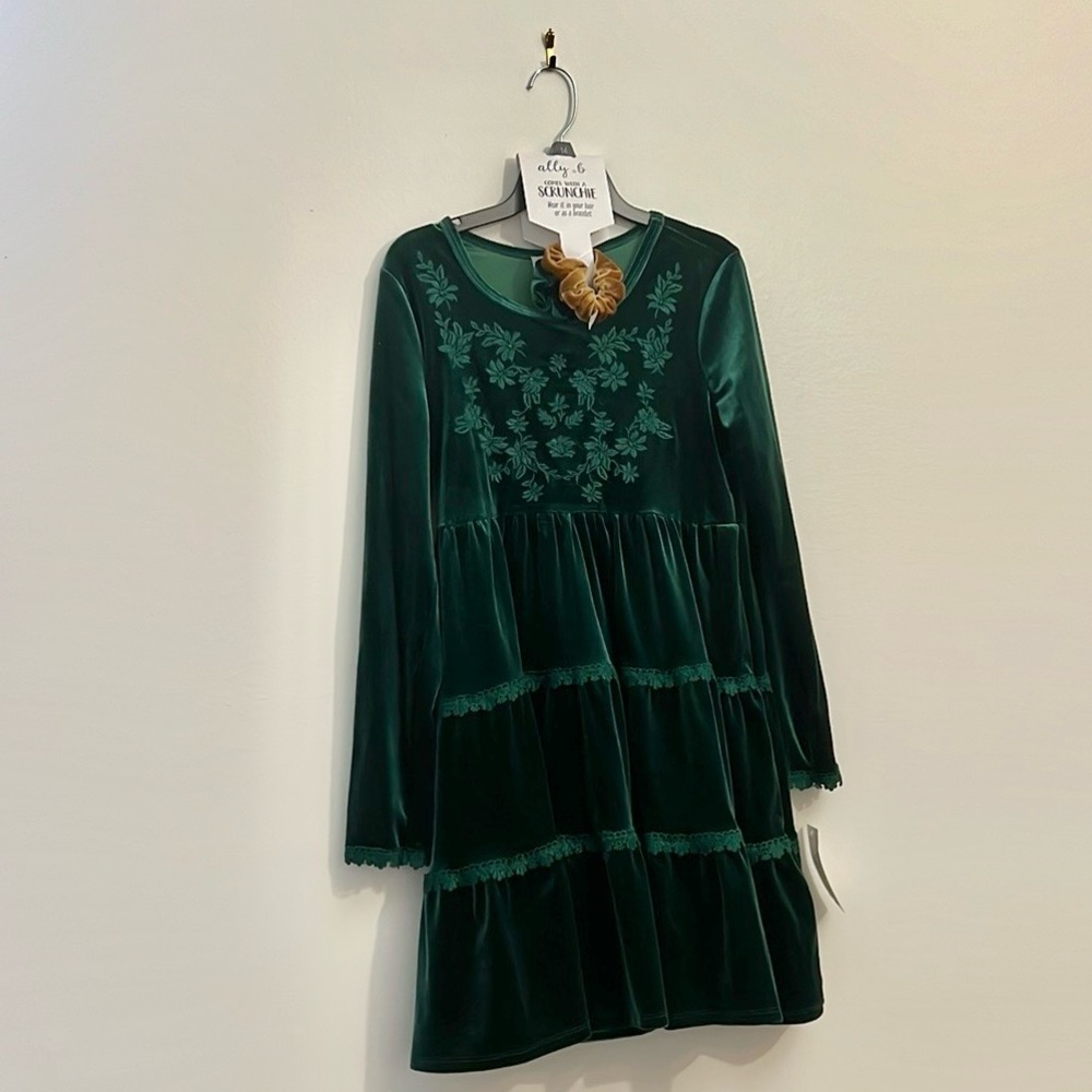 ally b girls hunter green embroidery velvet dress with scrunchies.